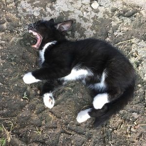 Meet your Posher, Michaela